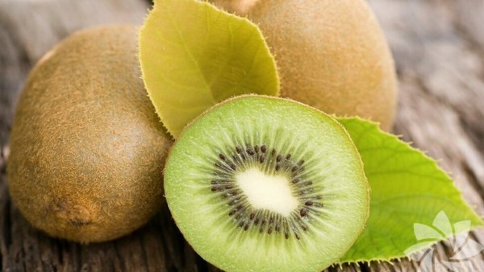 Hamilelikte kivinin önemine çok şaşıracaksınız!