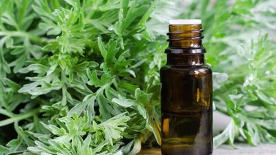 Hamam otunun faydaları nelerdir?