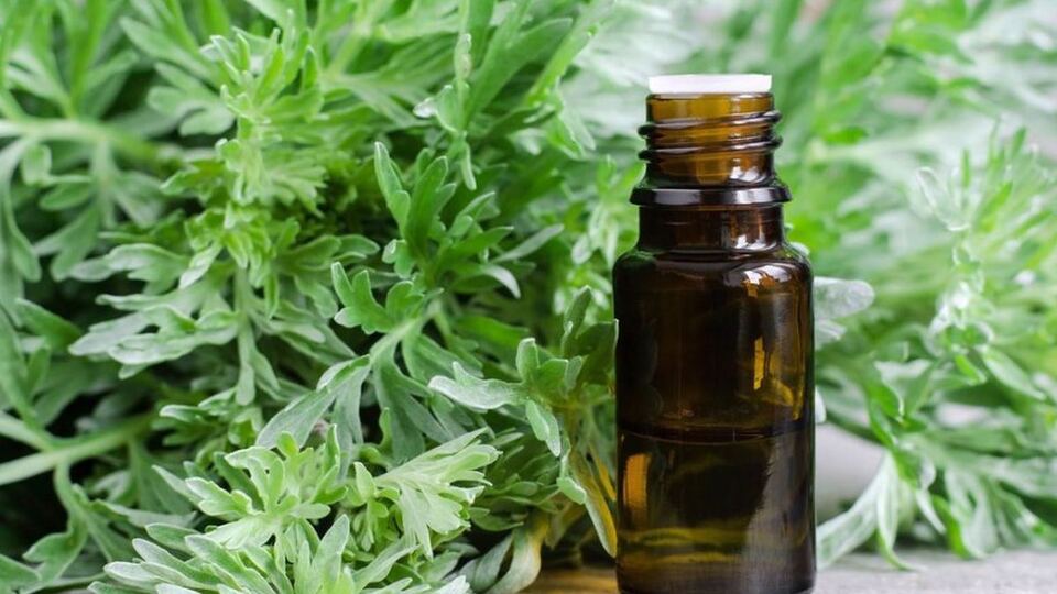 Hamam otunun faydaları nelerdir?