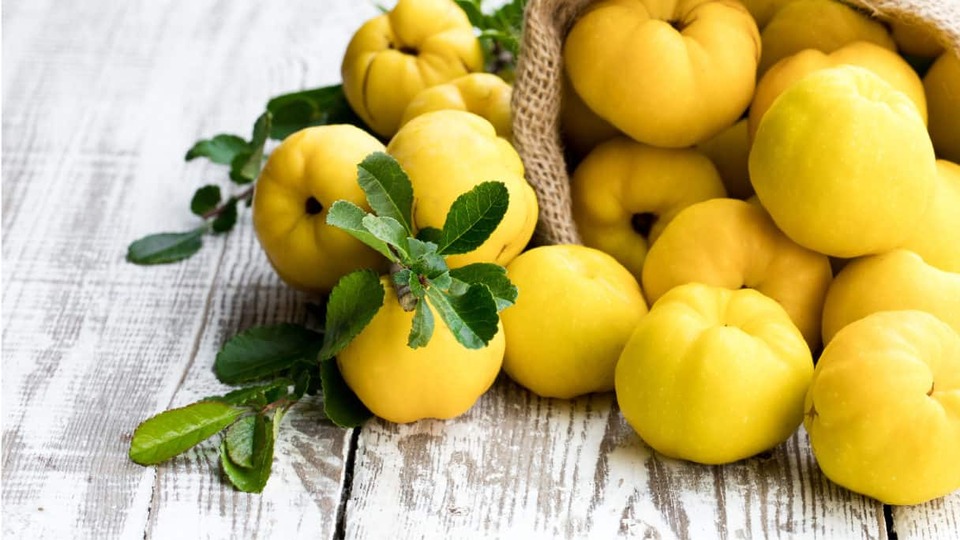 Hamilelikte ayvanın faydaları nelerdir?