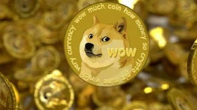 Dogecoin kaç TL?