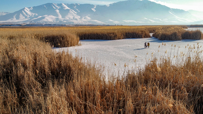Donan sazlıklar vatandaşın uğrak yeri oldu