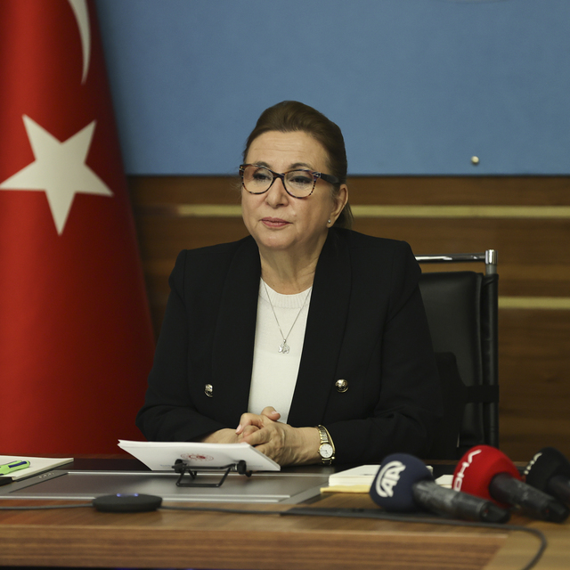 Özel sektör ve yabancı yatırımcıya davet