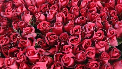 İçişleri Bakanlığı sevgililer günü genelgesi