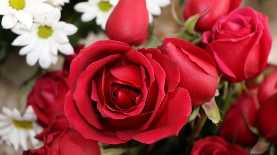 İçişleri Bakanlığı sevgililer günü genelgesi