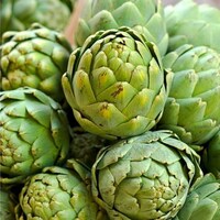 Mutfağın kraliçesi enginar