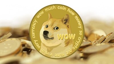 Dogecoin kaç TL?