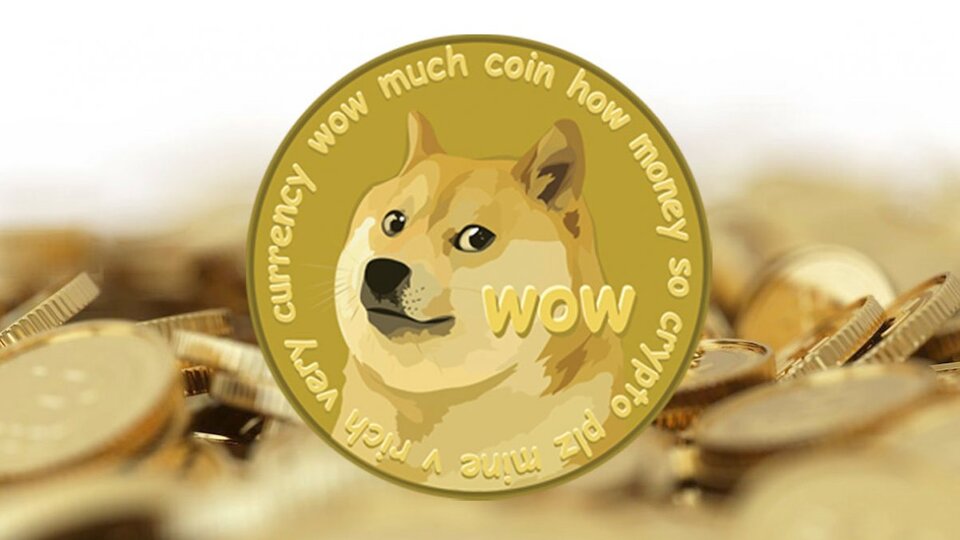 Dogecoin kaç TL?