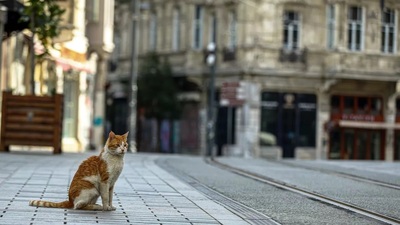 Sokağa çıkma yasağı ne zaman bitecek?