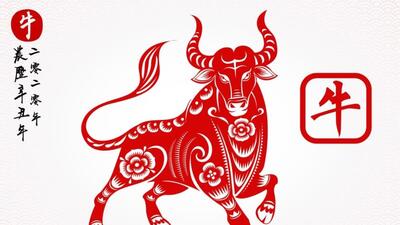 Instagram Öküz yılı nedir?