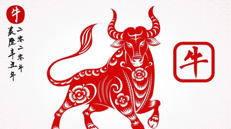 Instagram Öküz yılı nedir?