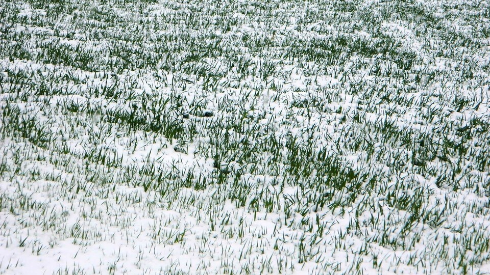 Çiftçiye kar uyarısı