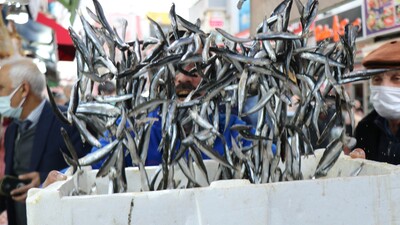 Ocakta 16 ülkeye hamsi ihraç edildi