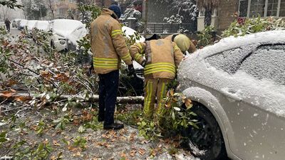 İstanbul'da otomobillerin üzerine ağaç devrildi