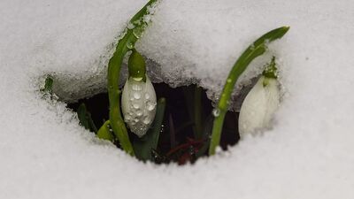 Cezası 80 bin liraya çıktı