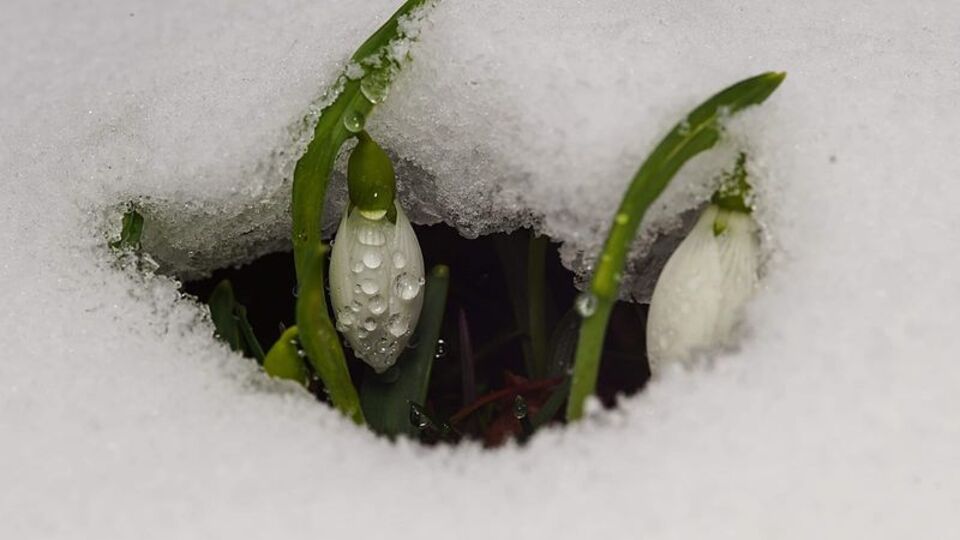 Cezası 80 bin liraya çıktı