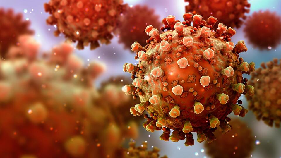 Mutasyonlu virüs hangi illerde var?