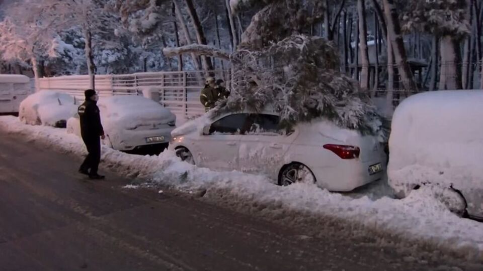 Kaldırımda yürüyen kadının üzerine ağaç devrildi