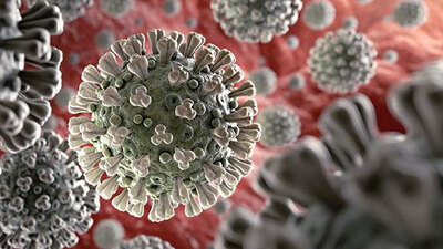 Dikkat çeken araştırma! O vitamin korona ölümlerini azaltabilir