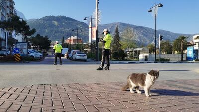 Sokağa çıkma yasağı ne zaman bitecek?