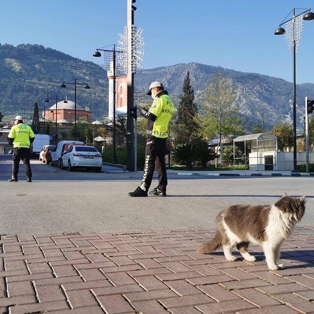 Sokağa çıkma yasağı ne zaman bitecek?