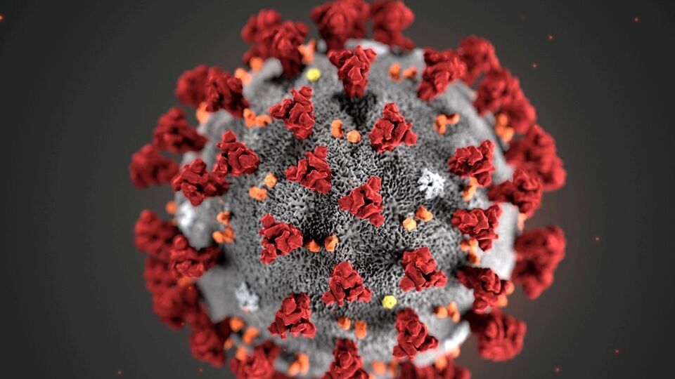 Mutasyonlu virüs belirtileri neler?