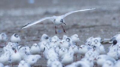 Kar fırtınasında fotoğraflandılar