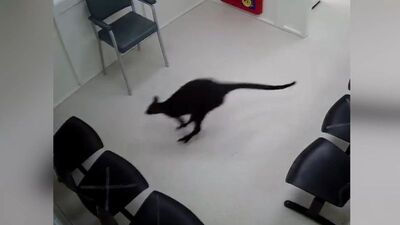 Yolunu kaybedip hastaneye daldı