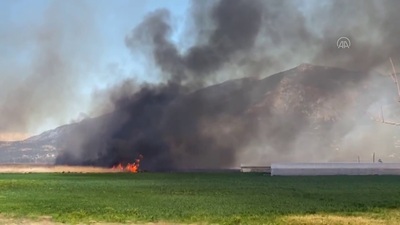 Antalya'da alev kapanı!