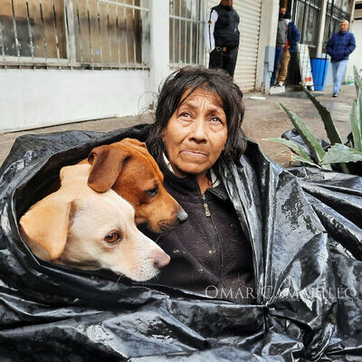 6 köpeğiyle birlikte çöp poşetinde yaşıyordu...