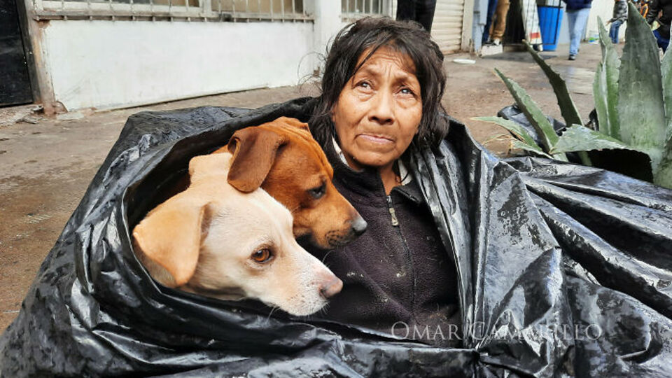 6 köpeğiyle birlikte çöp poşetinde yaşıyordu...