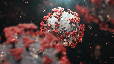 Mutasyonlu virüs hangi illerde var?