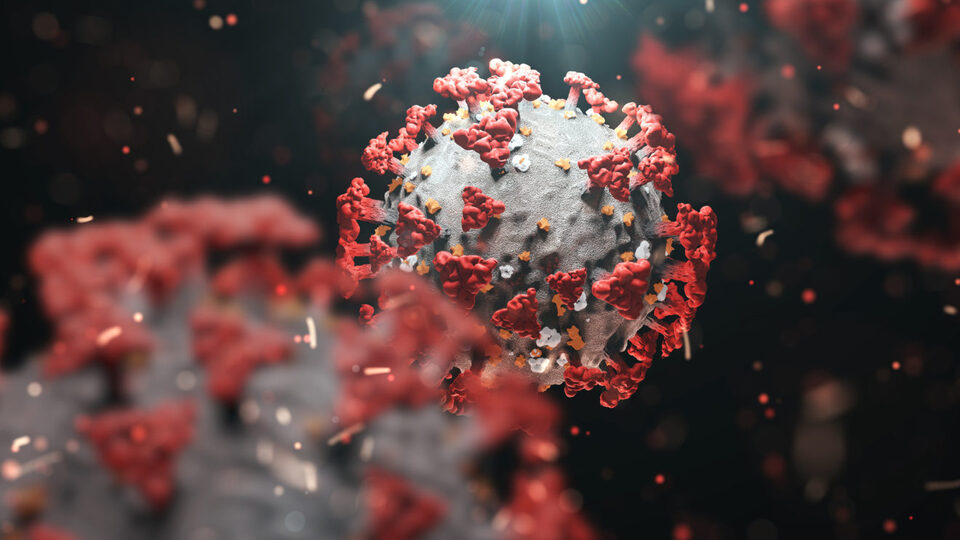 Mutasyonlu virüs hangi illerde var?