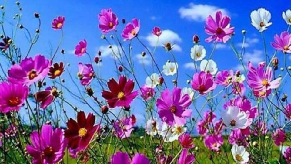 İlk cemre ne zaman düşer 2021?