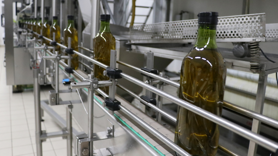 ABD'ye zeytinyağı ihracatı arttı