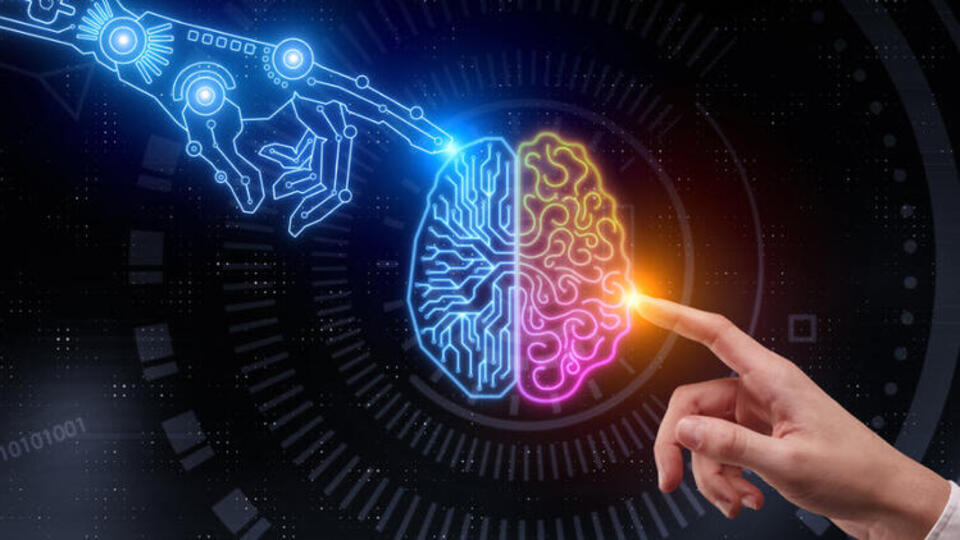 Analitik zeka türü nedir?