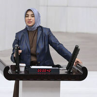Özlem Zengin'e hakarete soruşturma