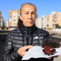 Kadir Şeker olayında dikkat çeken saldırı