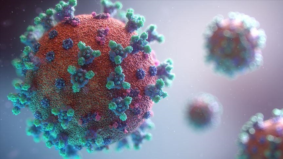 Nipah virüsü nedir?