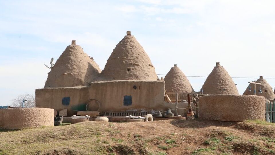 Harran'da bulunuyor... Bu özelliğiyle dikkat çekiyor