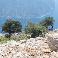 Kelebekler Vadisi'ndeki dehşette son görüntü!