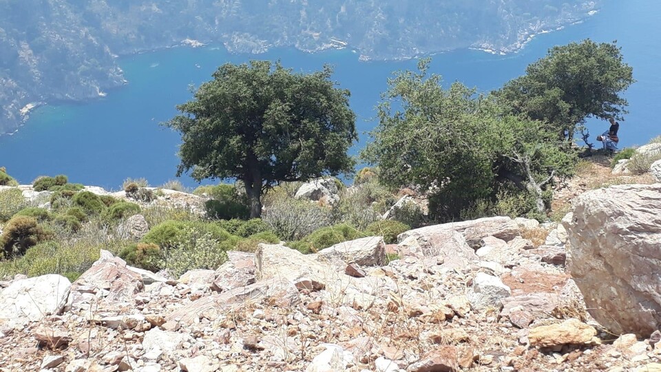 Kelebekler Vadisi'ndeki dehşette son görüntü!