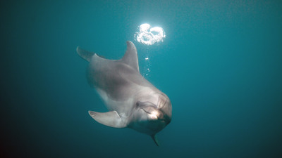 'İntiharın eşiğindeler!'