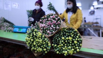 Çiçek ihracatında artış