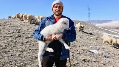 Avukat olmak yerine çoban oldu!