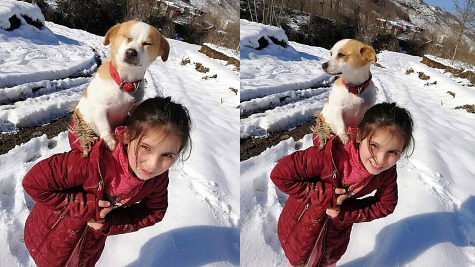 Küçük Cemre'den alkışlanacak hareket! Kar kış demeden sırtında taşıdı