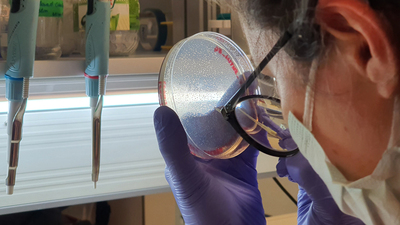 Aşı teknolojisinde devrim yaratacak