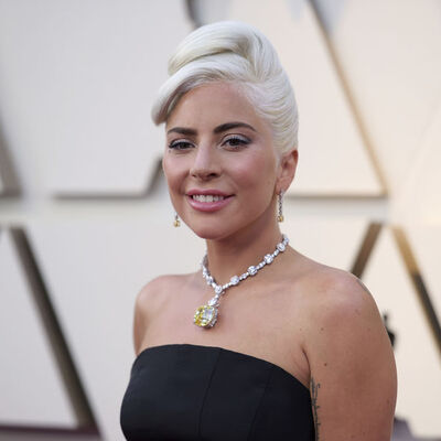 Lady Gaga'dan köpeklerini çalanlara 500 bin dolar!