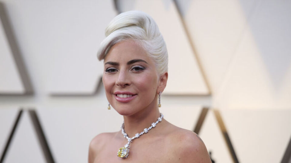 Lady Gaga'dan köpeklerini çalanlara 500 bin dolar!