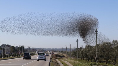 Gökyüzü birden karardı... Sürücüler telefonlara sarıldı!